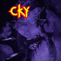 CKY - Replaceable