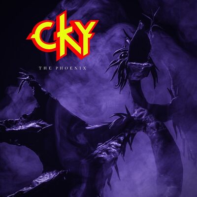 CKY - Replaceable