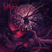Lutharo - Chasing Euphoria