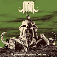 Acid Mammoth - Fuzzorgasm (Keep On Screaming)