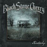 Black Stone Cherry - In Our Dreams