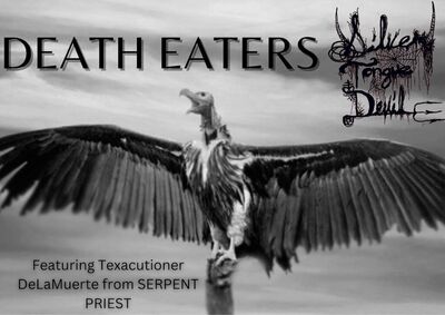 Silvertonguedevil - Death Eaters