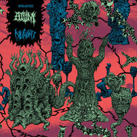 Atvm / Diskord - Bipolarities
