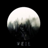 Chronoform - Veil