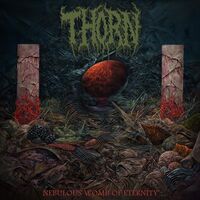 Thorn - Quartersawn Remains