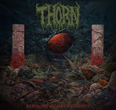 Thorn - Quartersawn Remains
