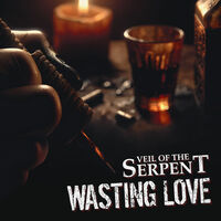 Veil Of The Serpent - Wasting Love [Iron Maiden cover]