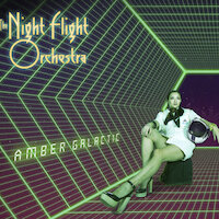 The Night Flight Orchestra - Domino