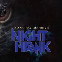 Nighthawk - Can't Say Goodbye