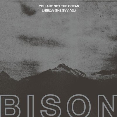Bison - Water Becomes Fire