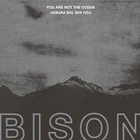 Bison - Tantrum