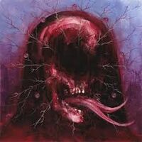 Drofnosura - Selection Of A Corpse