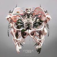 Crystal Lake - The Weight Of Sound
