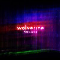 Wolverine - Nightfall