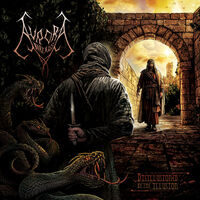 Aurora Borealis - Millisecond Pulsar