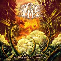 Carbon Tomb - Reversed Head Renewal