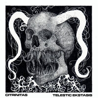 Citrinitas - The Infernal Hunt