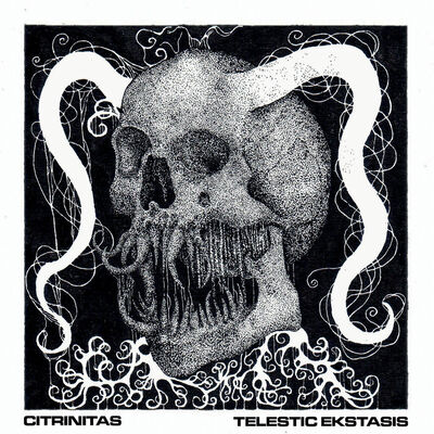 Citrinitas - The Infernal Hunt