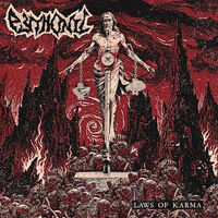 Pythonic - Set You Free