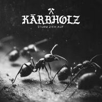 Kärbholz - Kryptonit