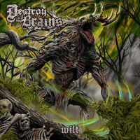 Destroy My Brains - OCI (Obsessive Compulsive Imploder)