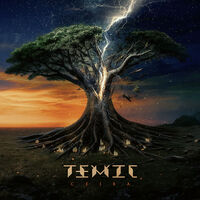 Temic - Ceased To Be