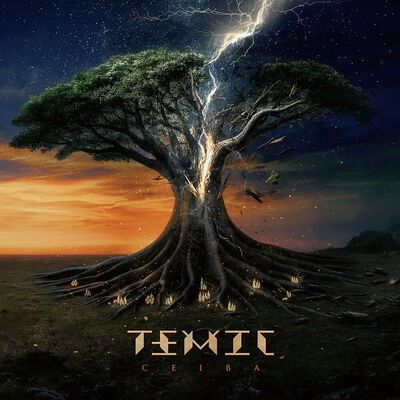Temic - Ceased To Be