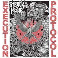 Struck A Nerve - Execution Protocol
