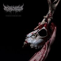Mental Cruelty - Raise The Raven Banner