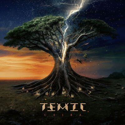 Temic - Broken