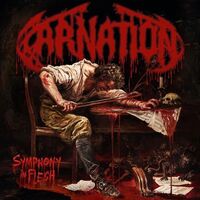 Carnation - Labyrinth Of Silence