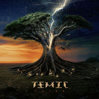 Temic - Ashes