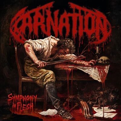 Carnation - Boundless Pathways