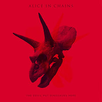 Alice in Chains - Stone